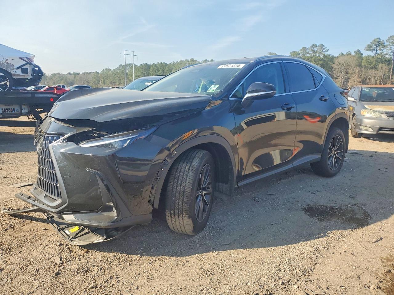 2024 LEXUS NX