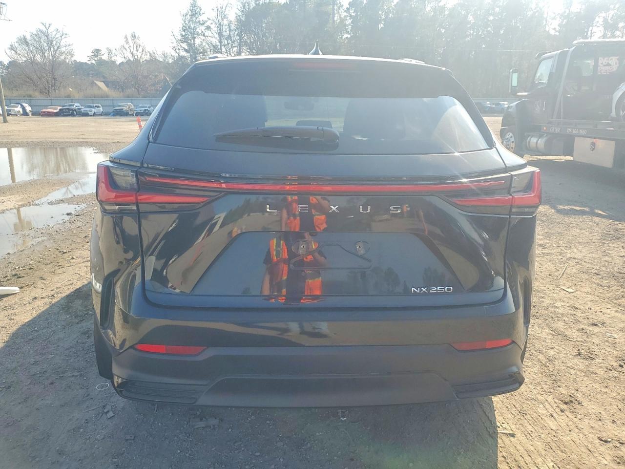2024 LEXUS NX 250 BASE photo 6