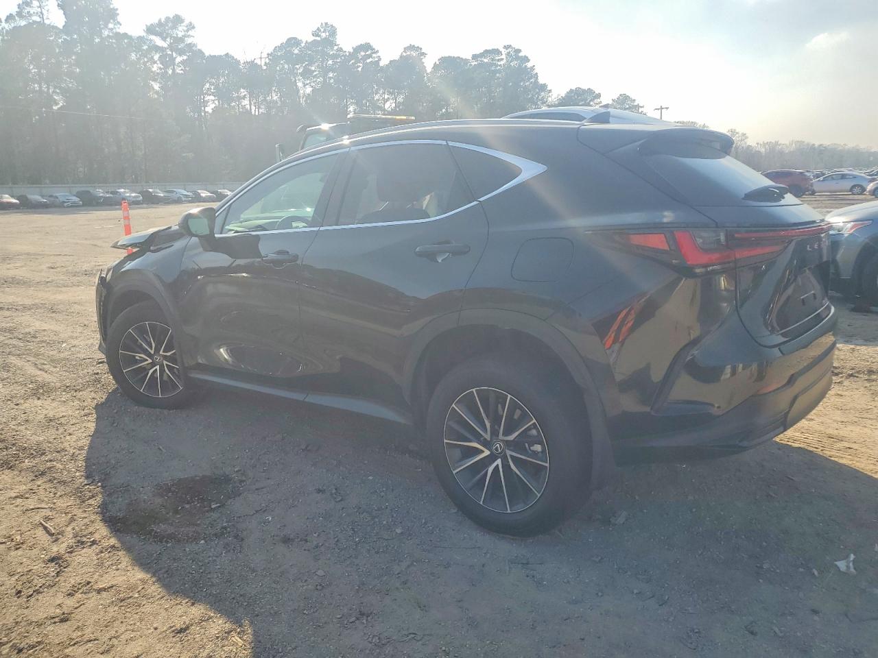2024 LEXUS NX 250 BASE photo 2