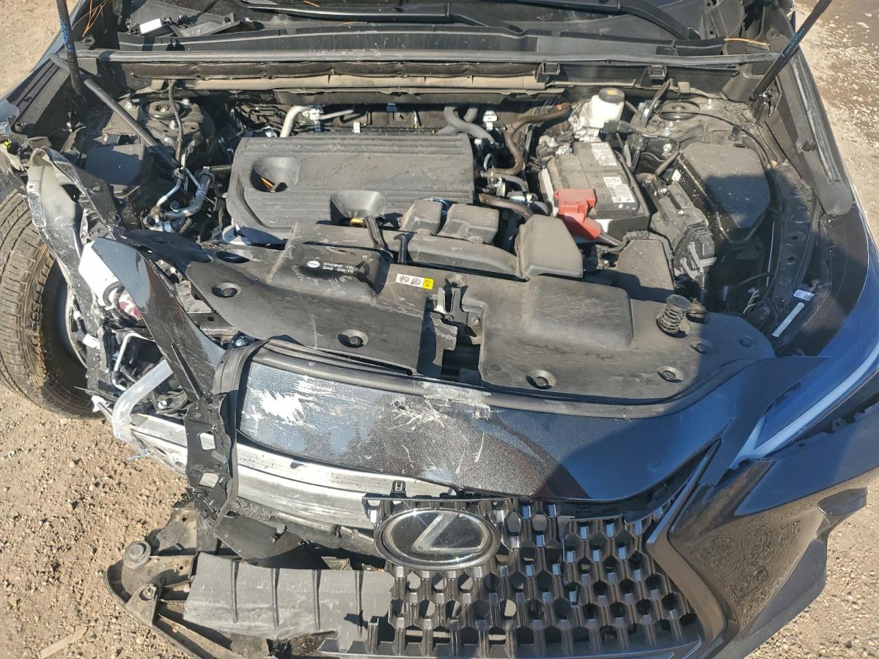 2024 LEXUS NX 250 BASE photo 12