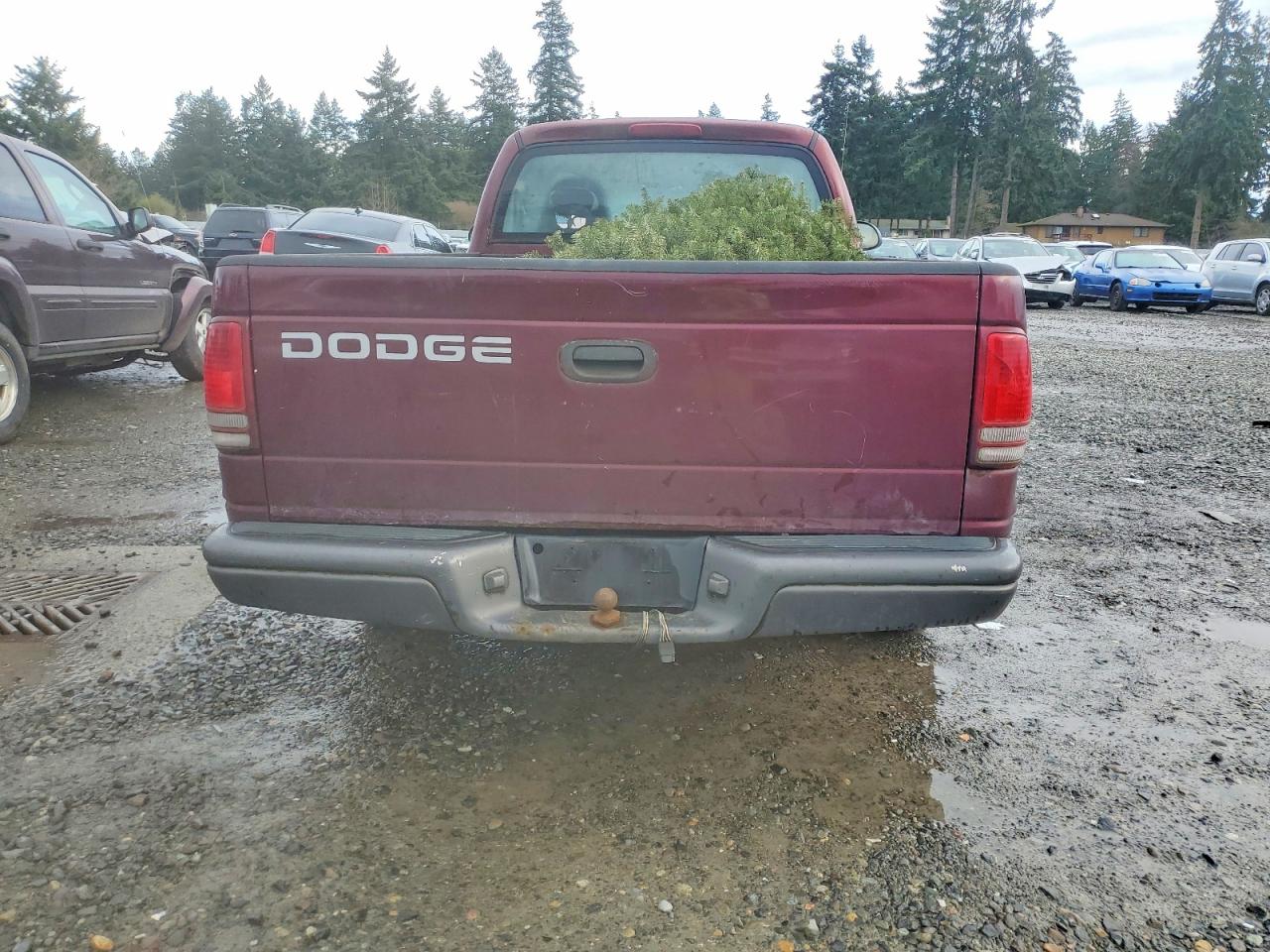 2002 DODGE DAKOTA BASE photo 6