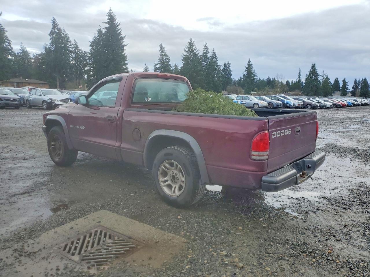 2002 DODGE DAKOTA BASE photo 2