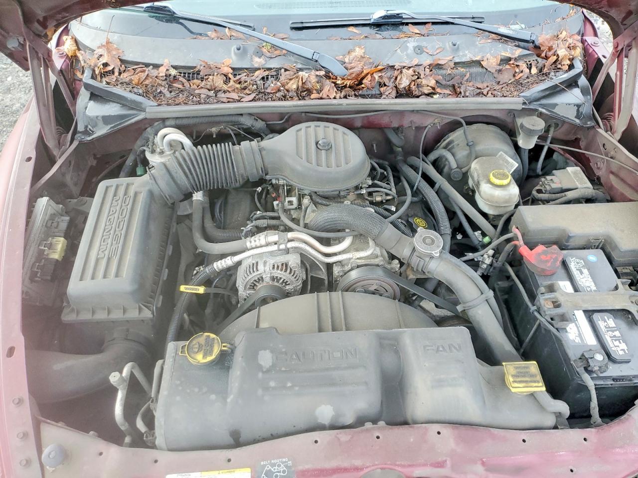 2002 DODGE DAKOTA BASE photo 11