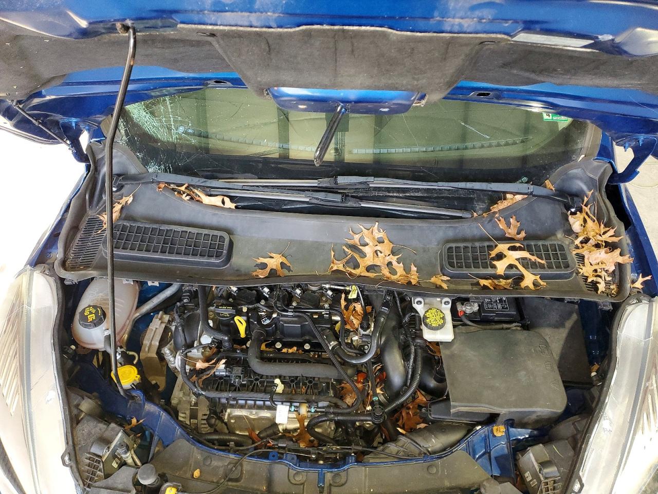 2019 FORD ESCAPE SEL photo 12