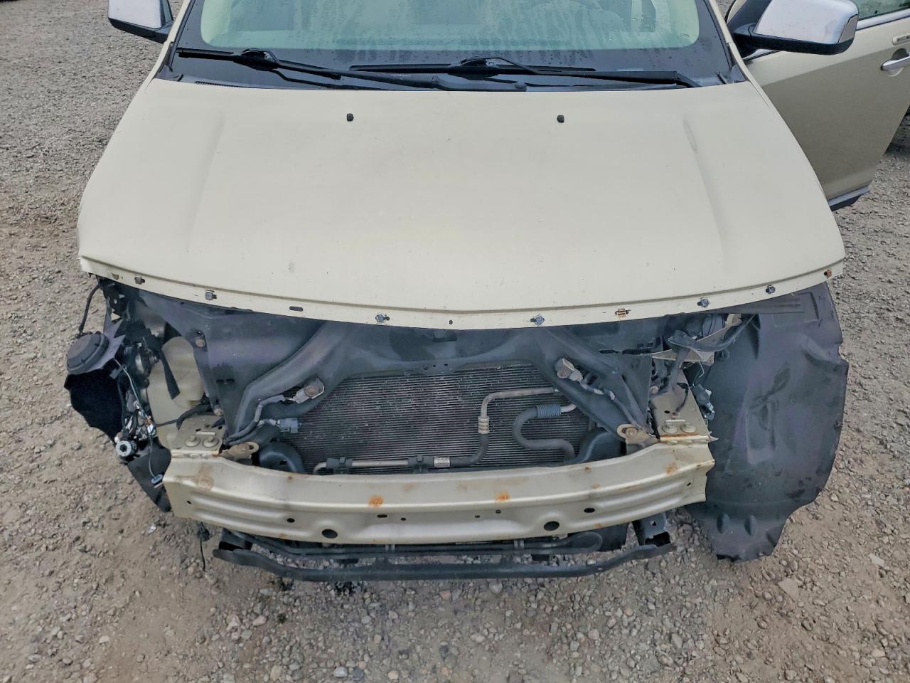 2010 LINCOLN MKX photo 12