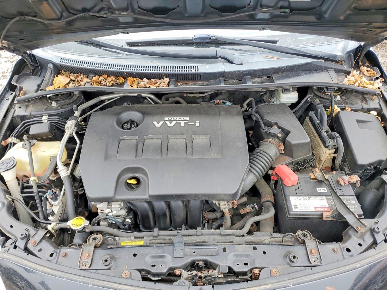 2010 TOYOTA COROLLA BASE photo 11