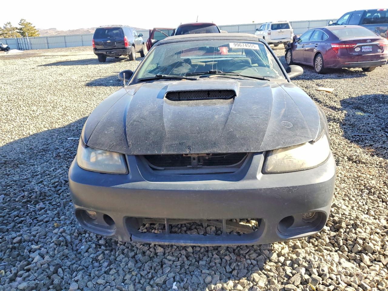 2001 FORD MUSTANG GT photo 5