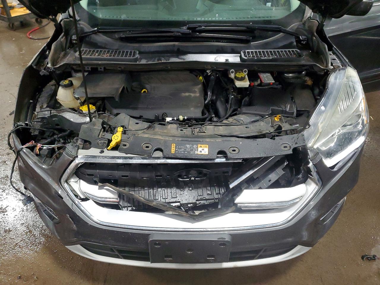 2017 FORD ESCAPE SE photo 12