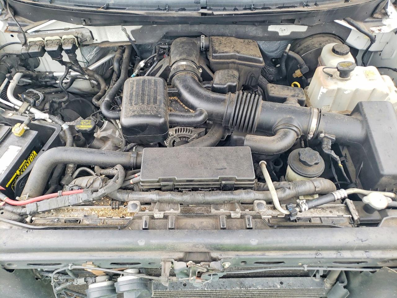 2010 FORD F150 SUPERCREW photo 11