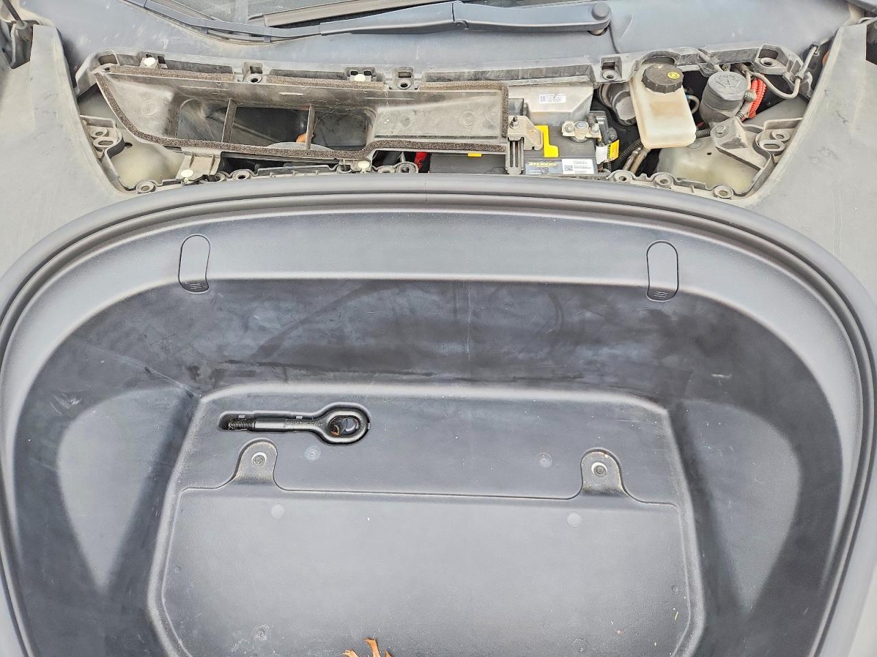 2019 TESLA MODEL 3 photo 11