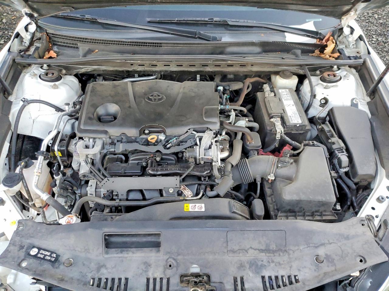 2019 TOYOTA CAMRY L photo 11