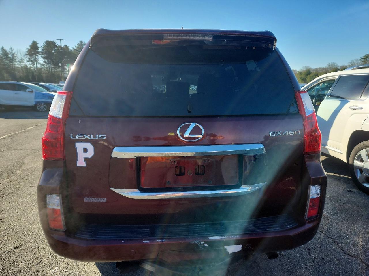 2010 LEXUS GX 460 PREMIUM photo 6