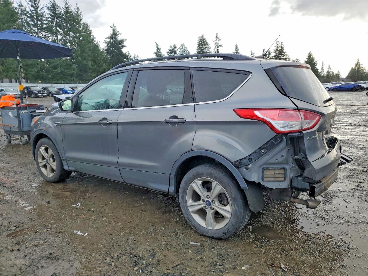 2014 FORD ESCAPE SE photo 2