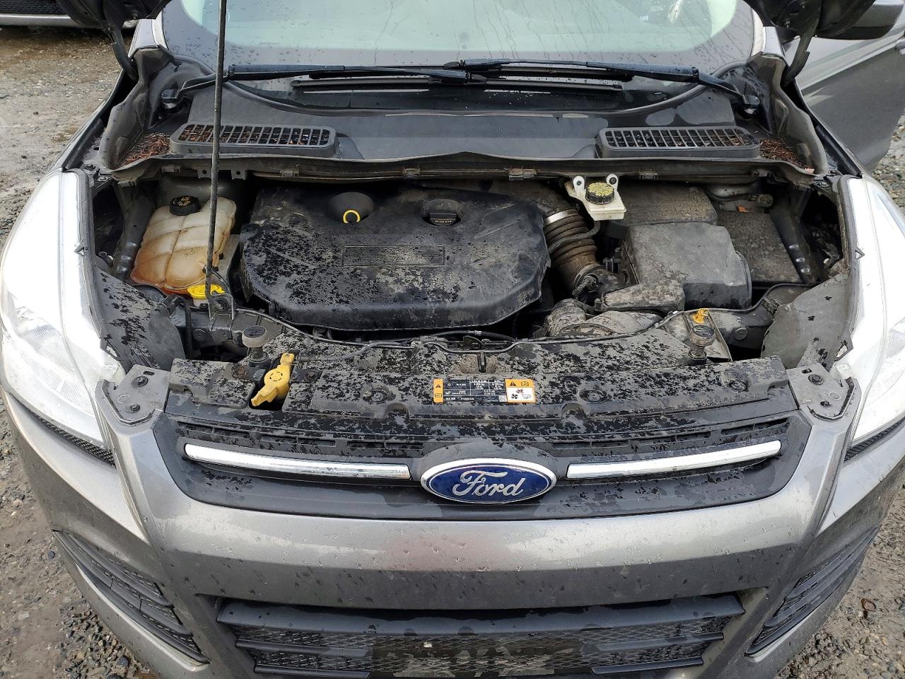 2014 FORD ESCAPE SE photo 12