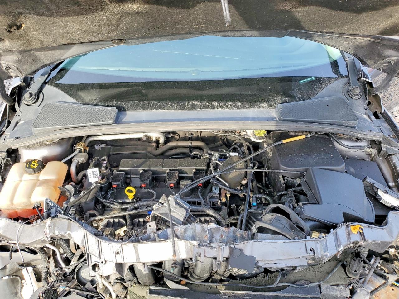 2014 FORD FOCUS SE photo 11
