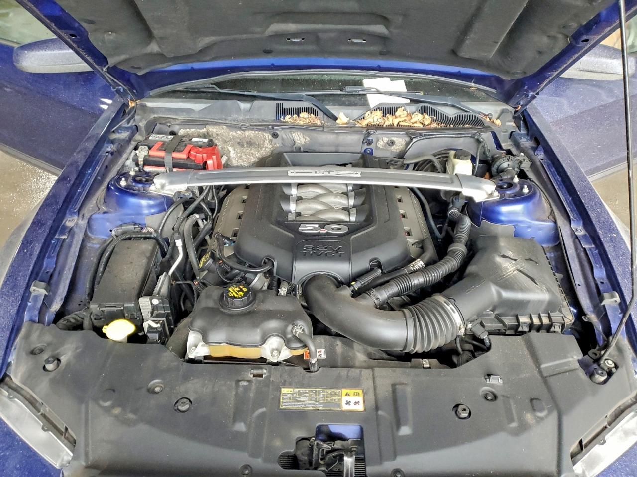 2014 FORD MUSTANG GT photo 11