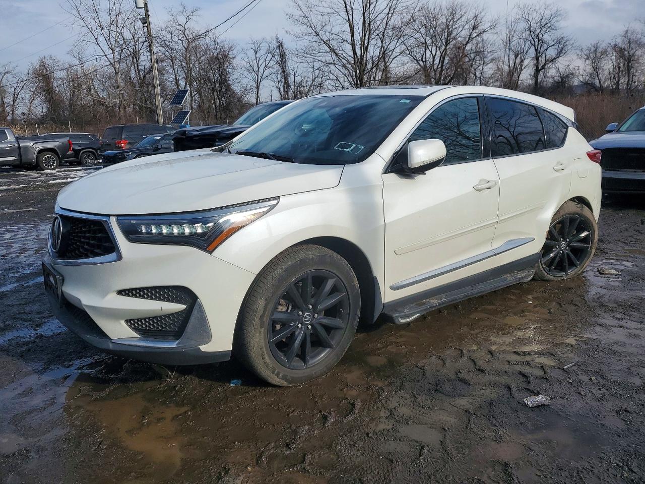 2019 ACURA RDX