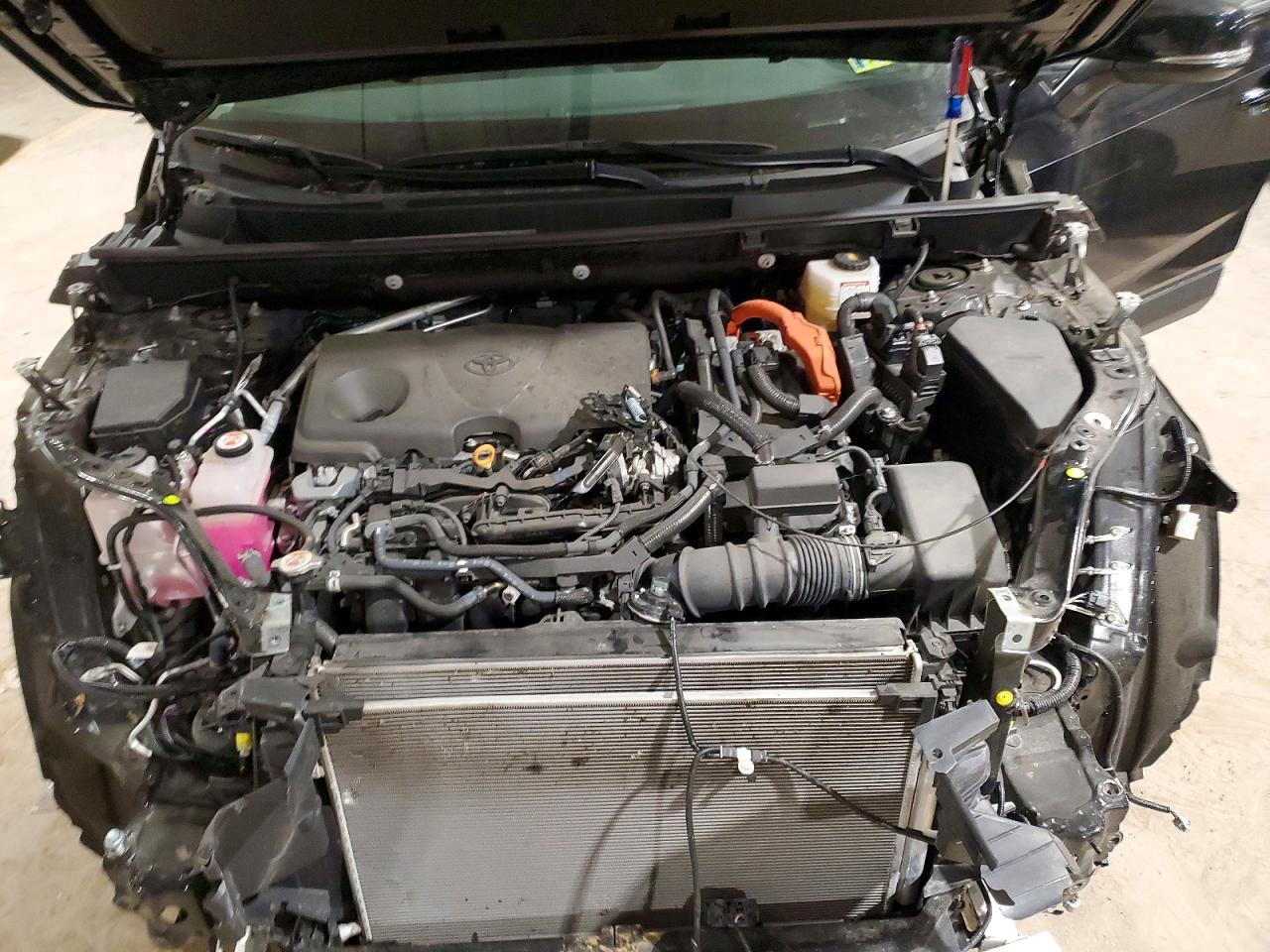 2024 TOYOTA RAV4 XLE photo 12