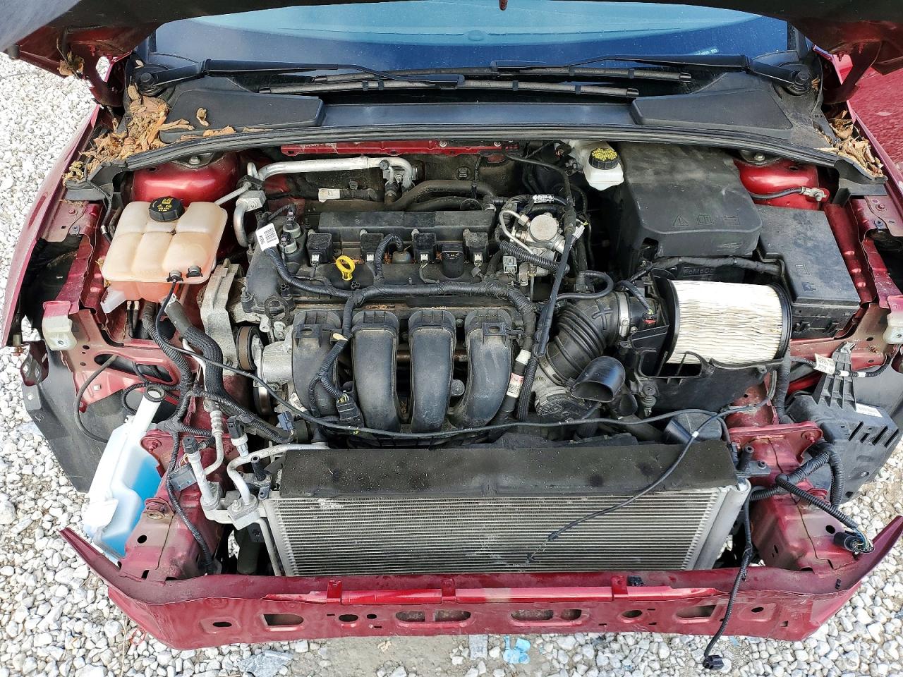 2017 FORD FOCUS SE photo 11