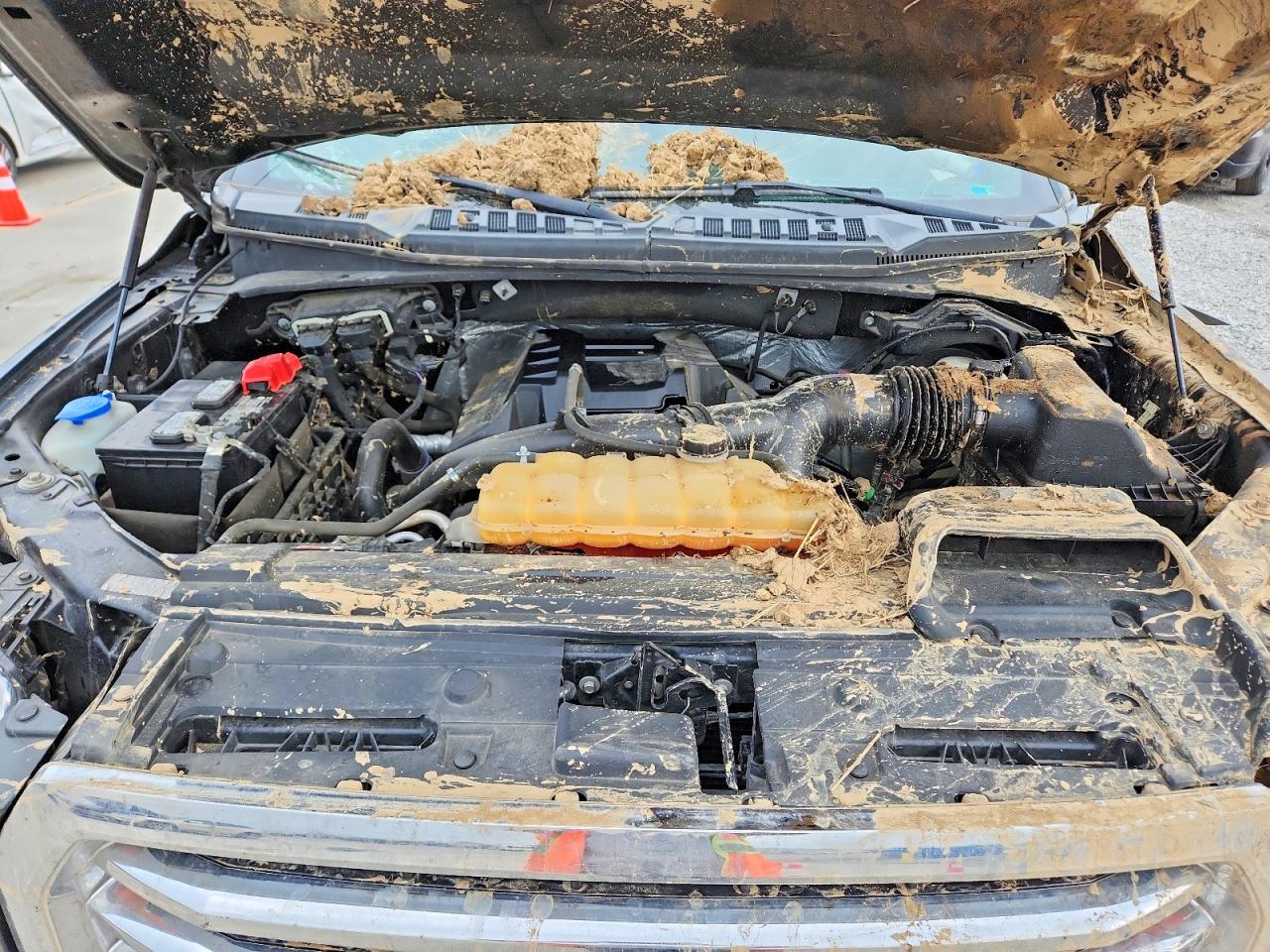 2015 FORD F150 SUPER CAB photo 21