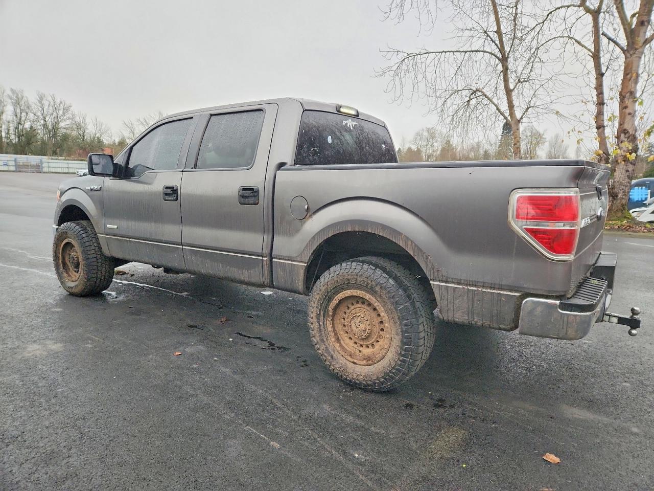 2013 FORD F150 SUPERCREW photo 2