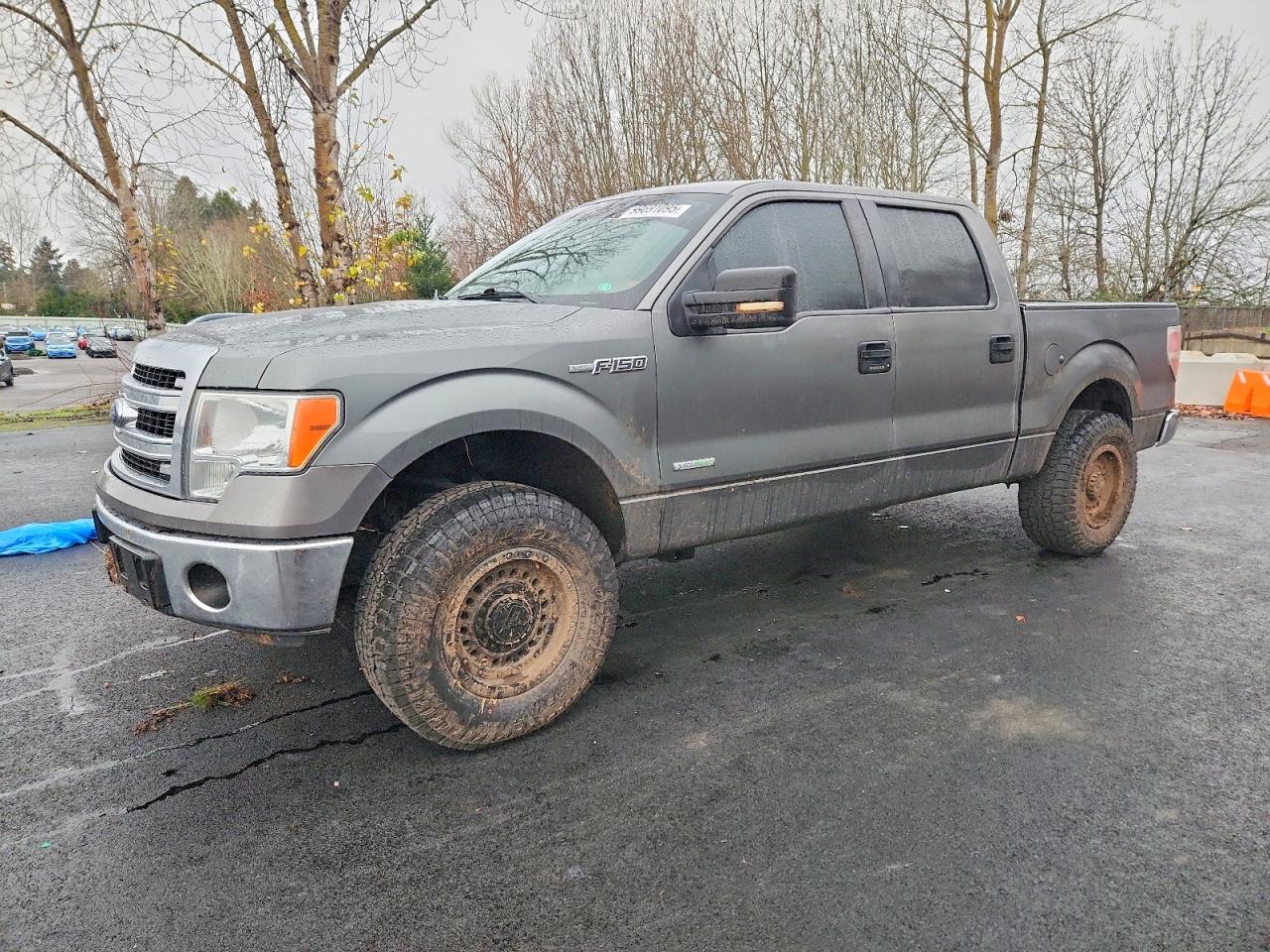 2013 FORD F150