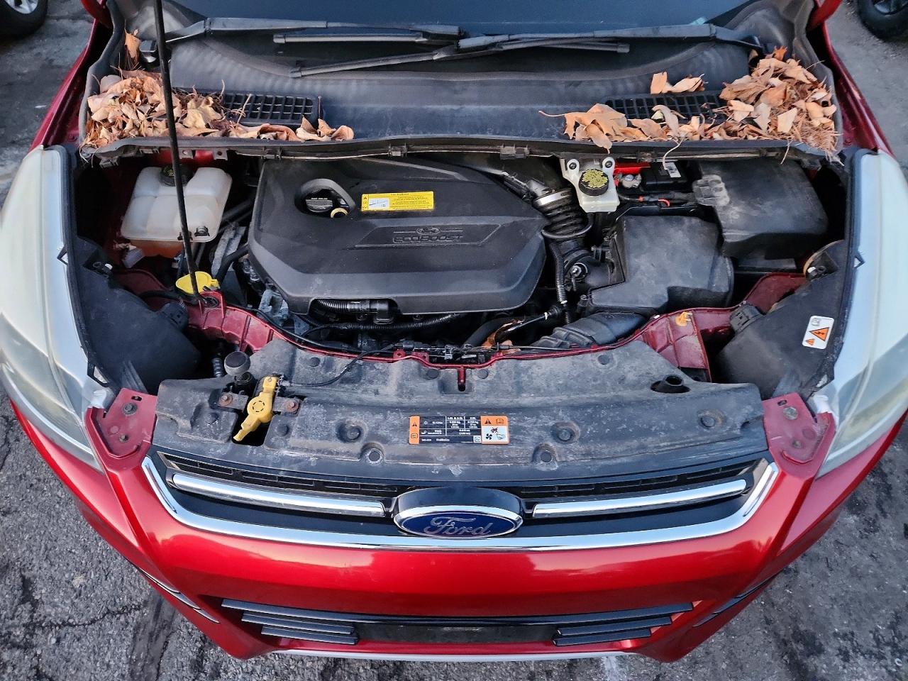 2015 FORD ESCAPE TITANIUM photo 12