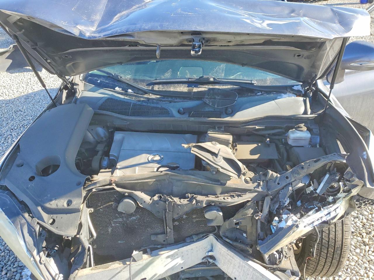 2013 LEXUS RX 350 BASE photo 12