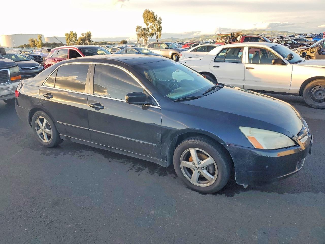2005 HONDA ACCORD EX photo 7