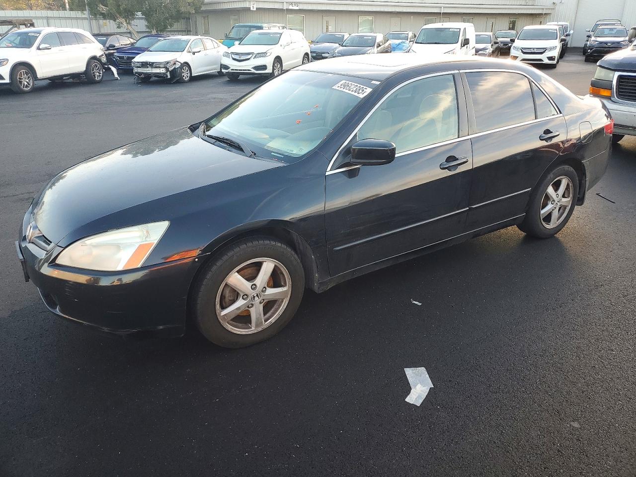 2005 HONDA ACCORD