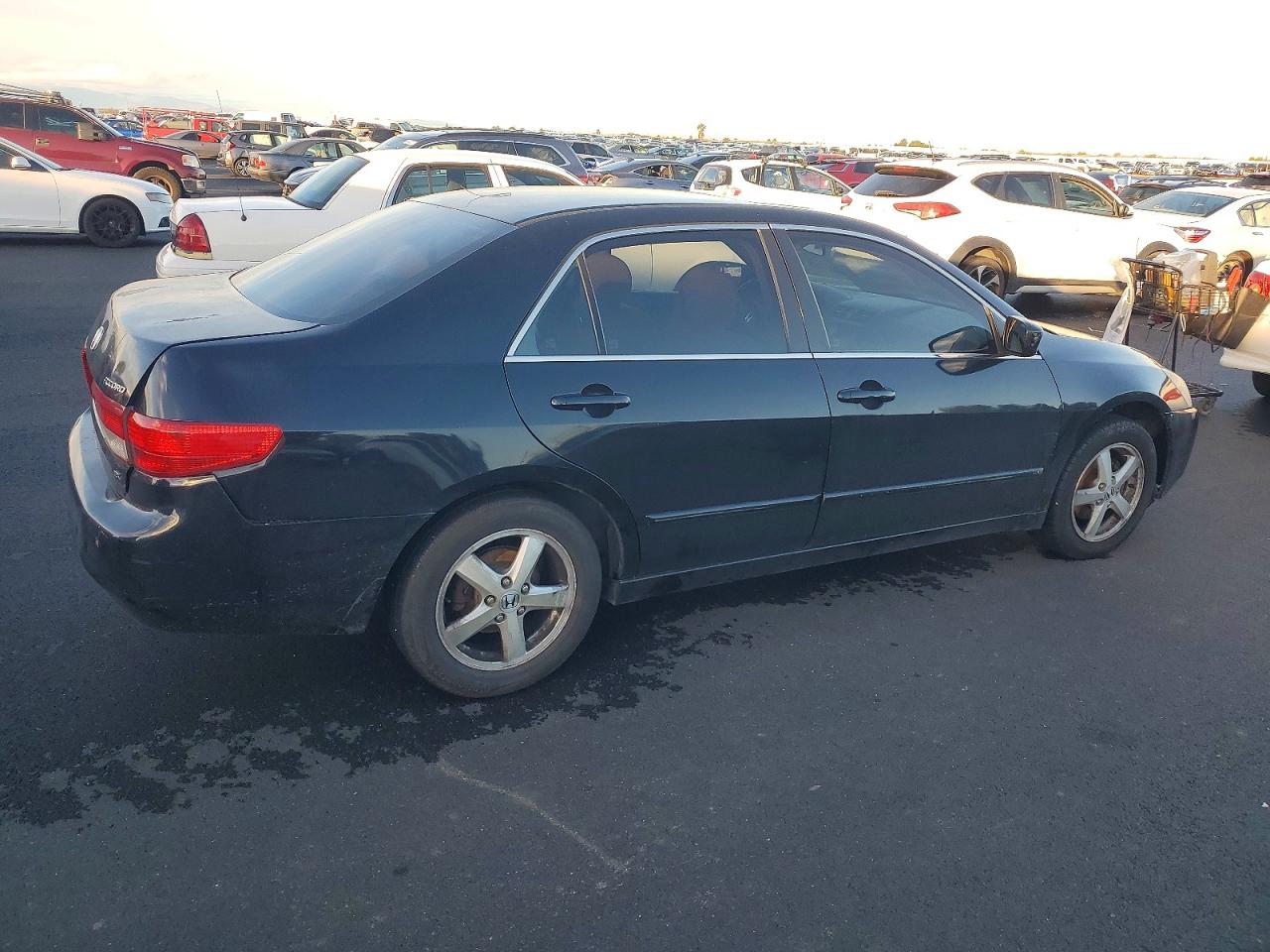 2005 HONDA ACCORD EX photo 5