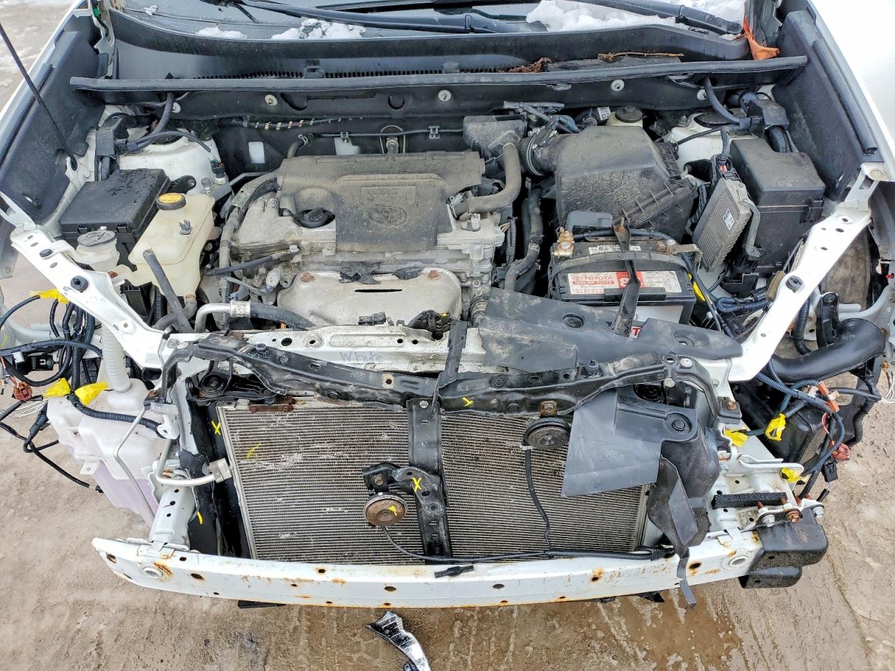 2017 TOYOTA RAV4 XLE photo 12