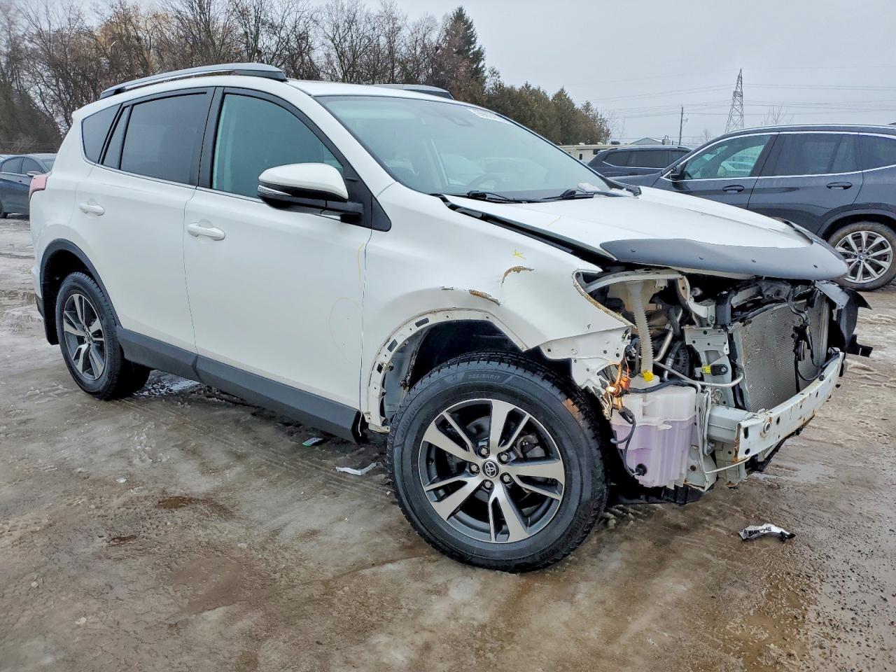 2017 TOYOTA RAV4 XLE photo 4