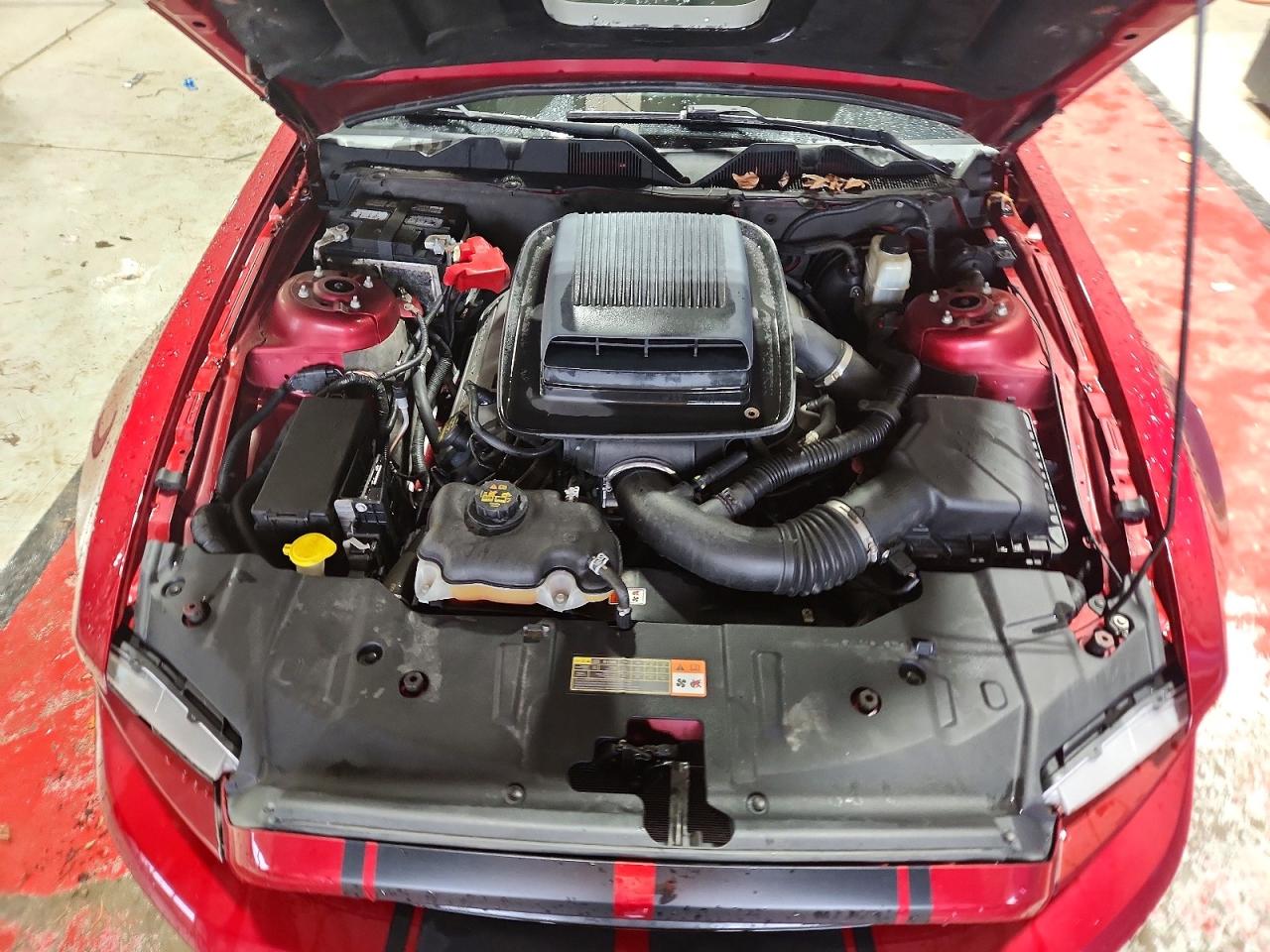 2014 FORD MUSTANG GT photo 11