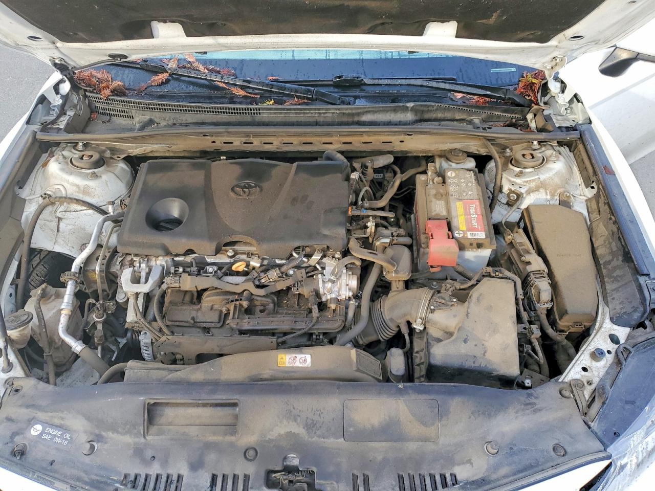 2021 TOYOTA CAMRY LE photo 11