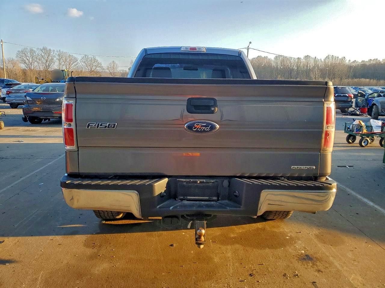 2013 FORD F150 photo 6