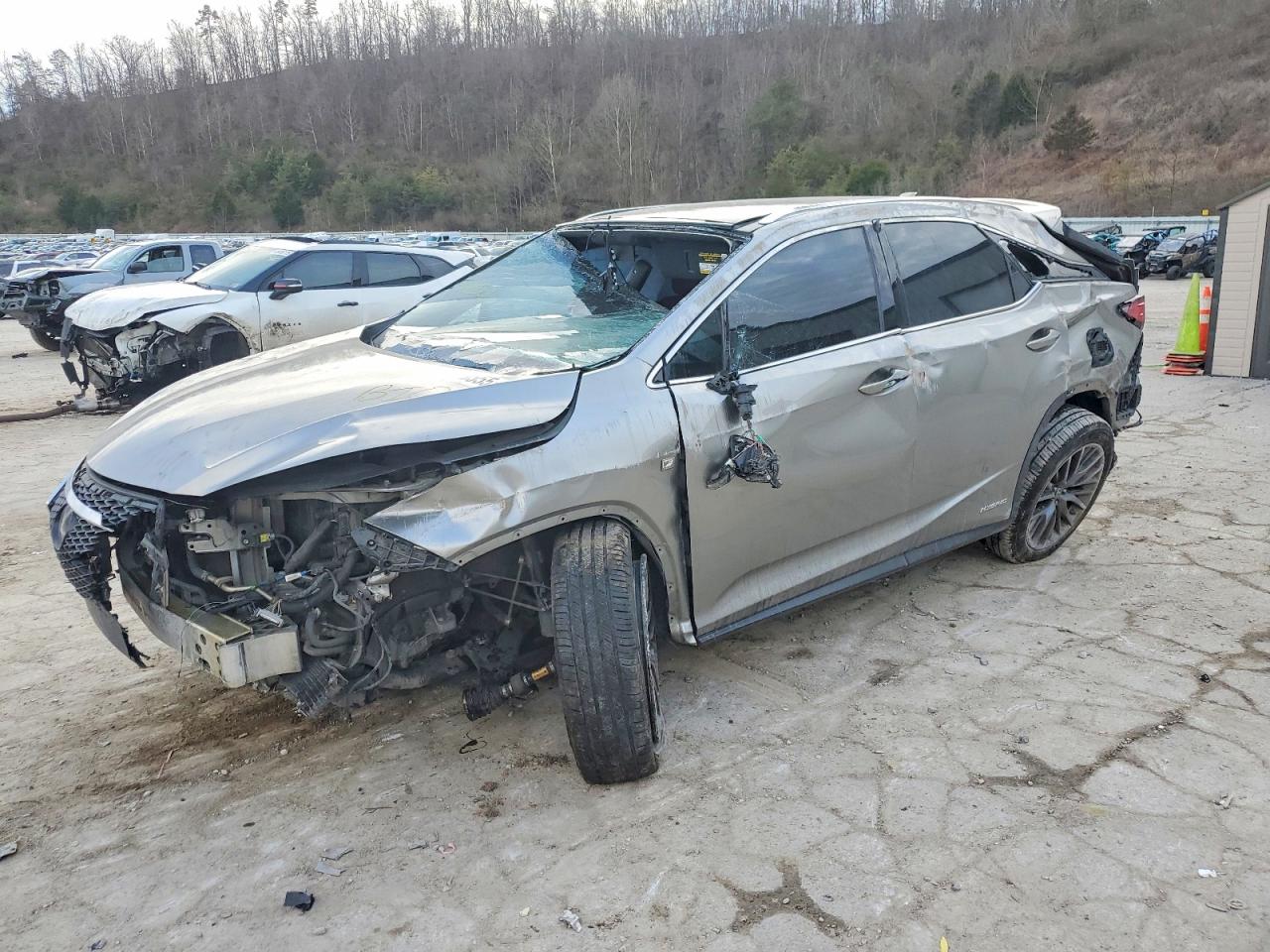 2019 LEXUS RX