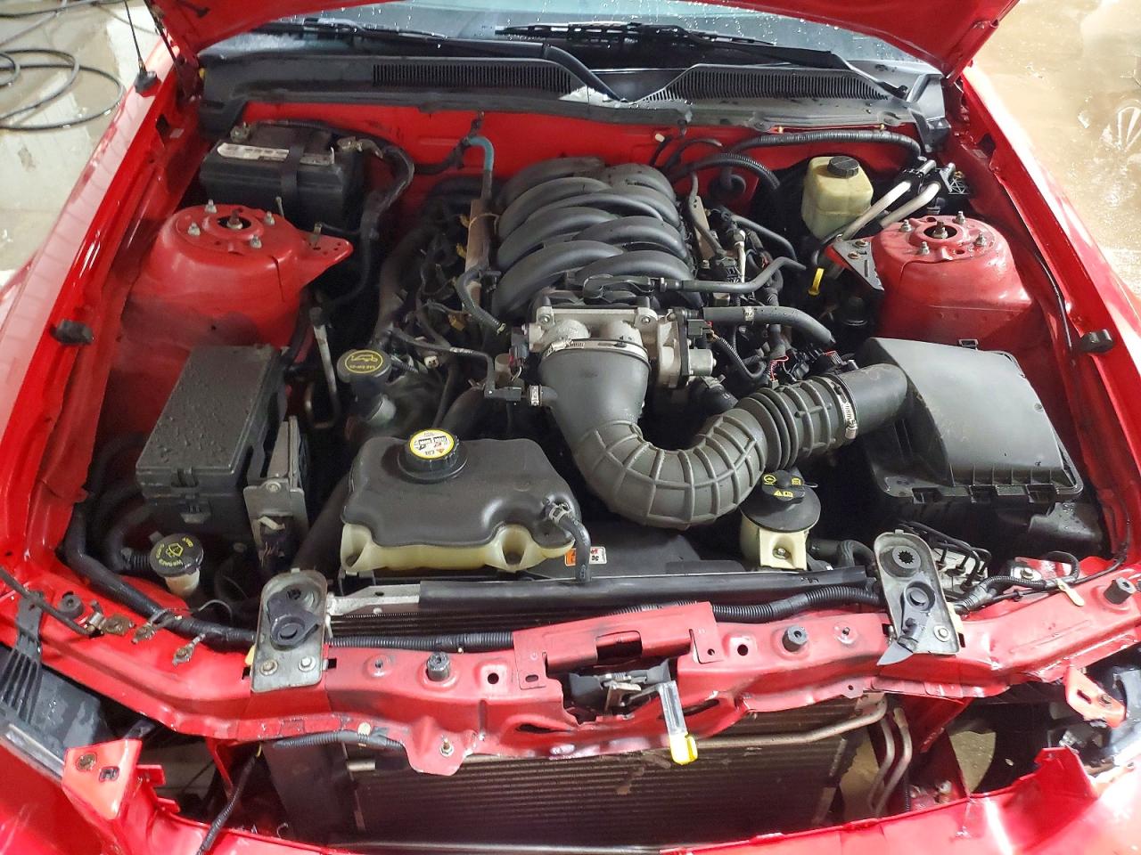 2005 FORD MUSTANG GT photo 11