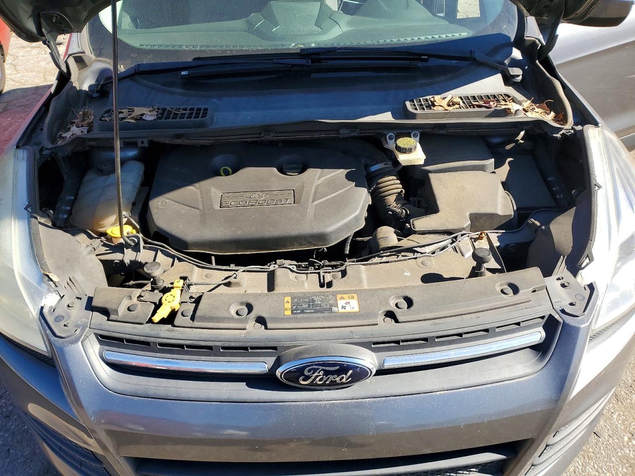 2014 FORD ESCAPE SE photo 12