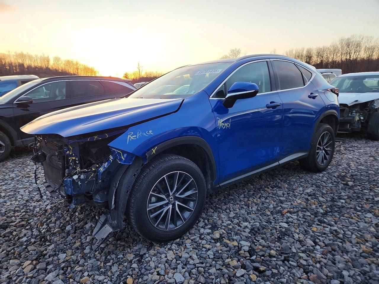 2025 LEXUS NX