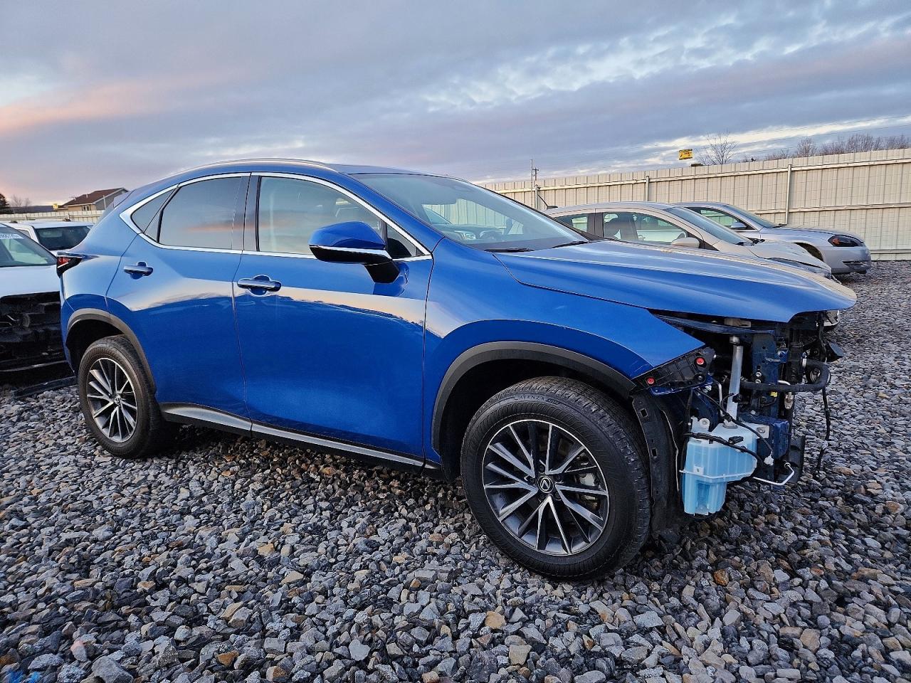 2025 LEXUS NX 350H BASE photo 4
