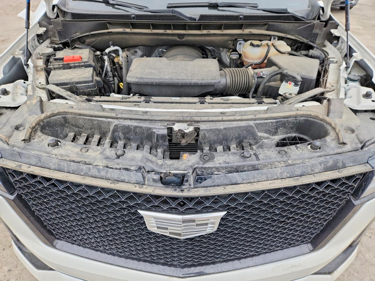 2023 CADILLAC ESCALADE ESV SPORT PLATINUM photo 12