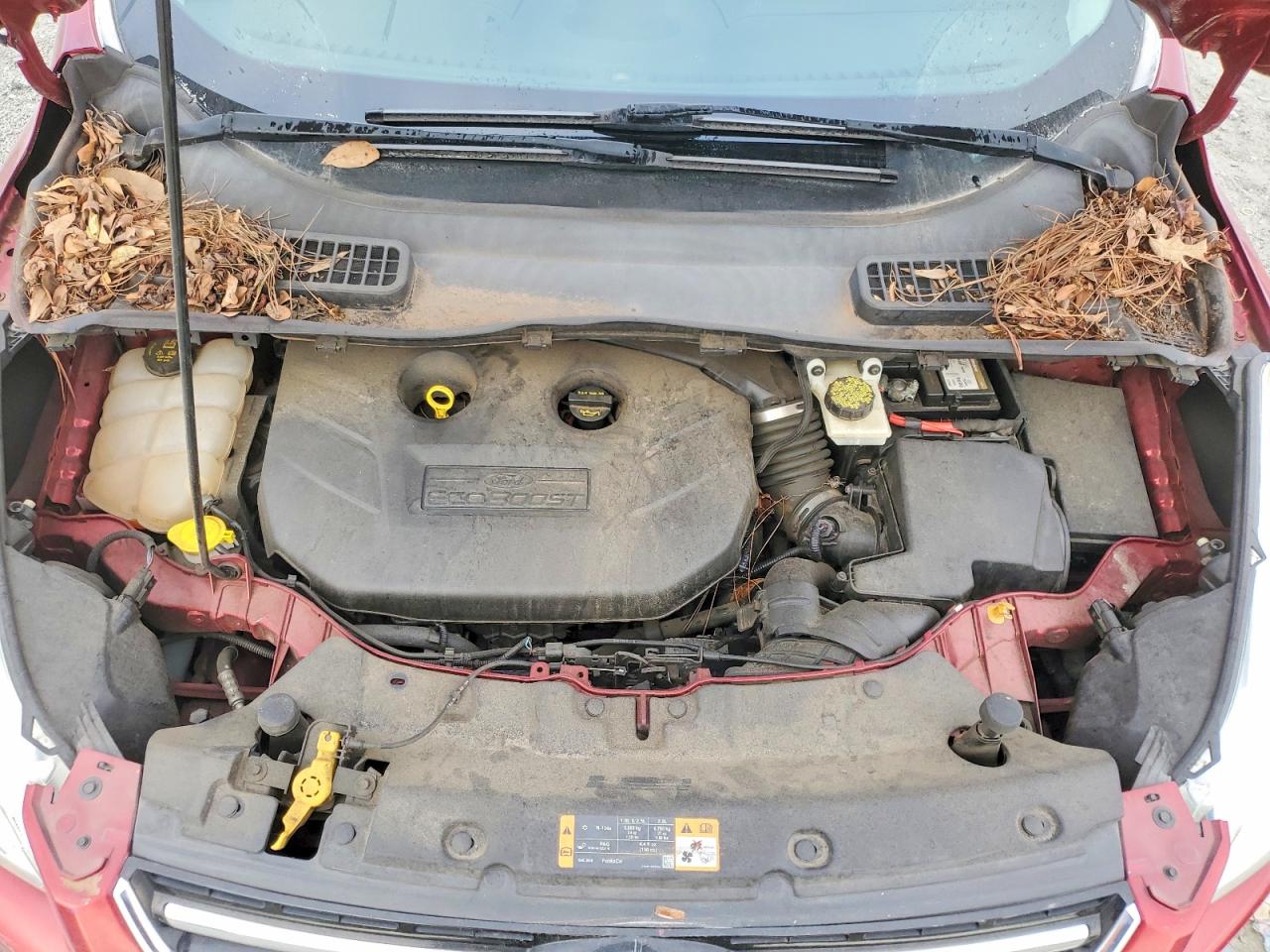 2014 FORD ESCAPE TITANIUM photo 12