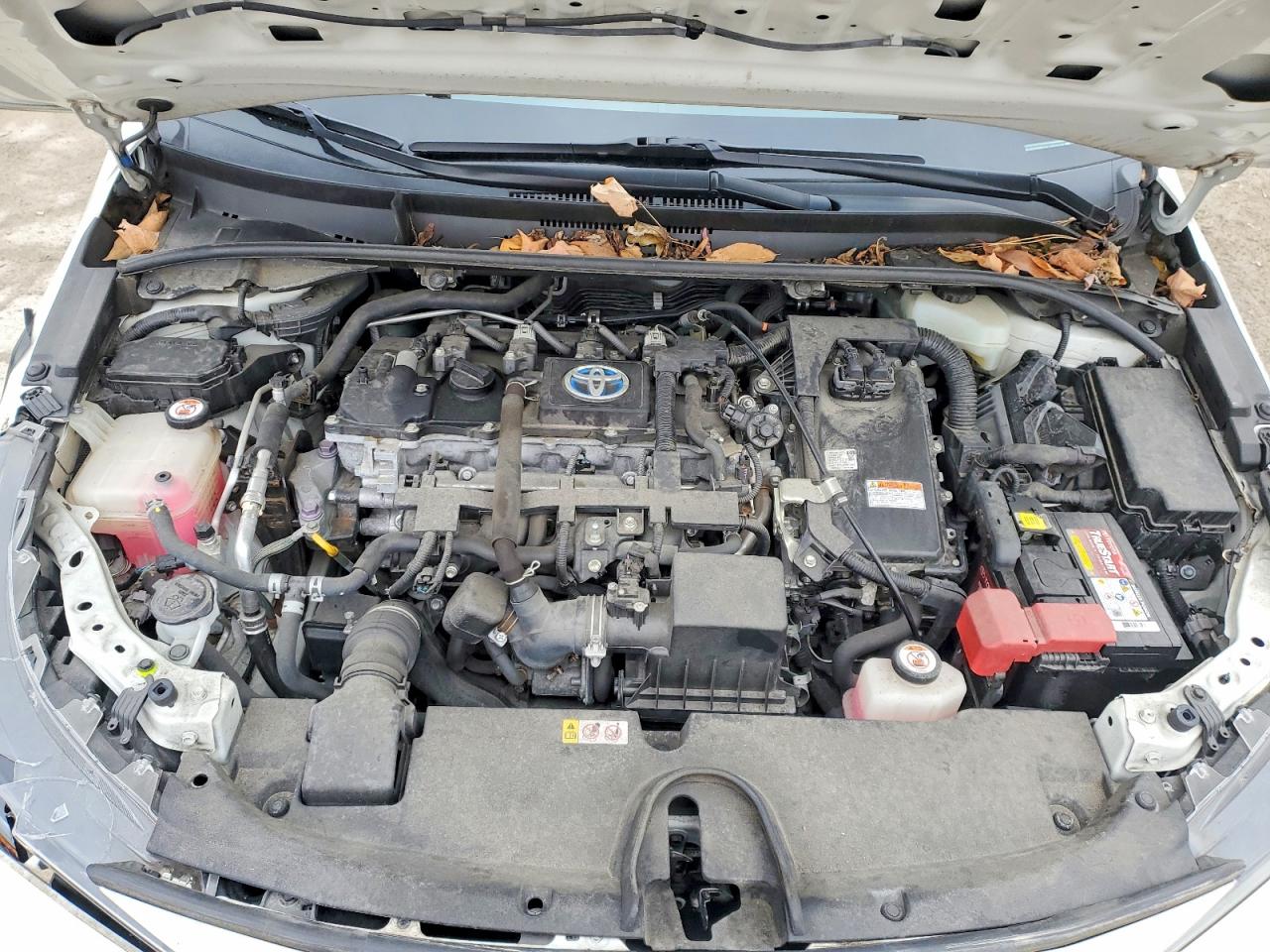 2020 TOYOTA COROLLA LE photo 11