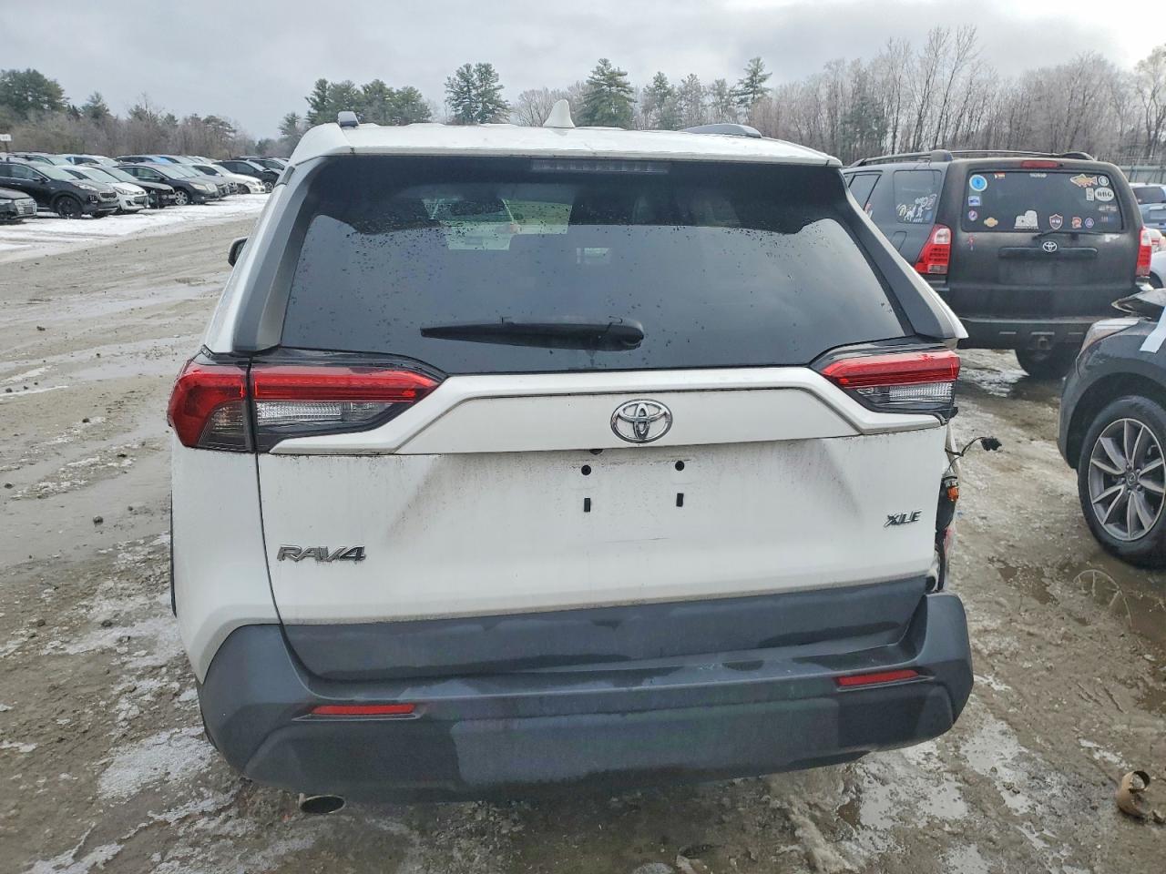 2019 TOYOTA RAV4 XLE photo 6