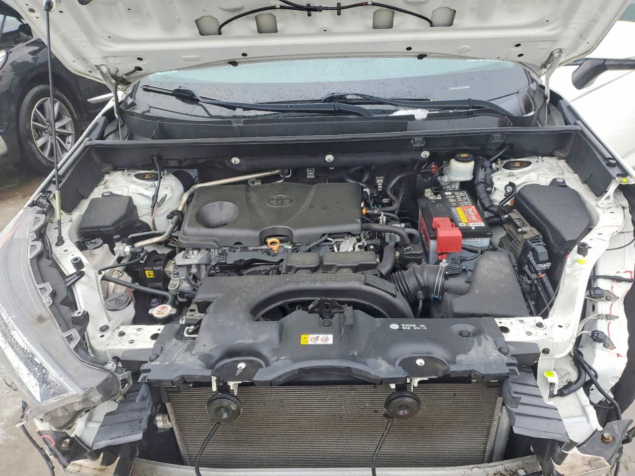 2019 TOYOTA RAV4 XLE photo 12