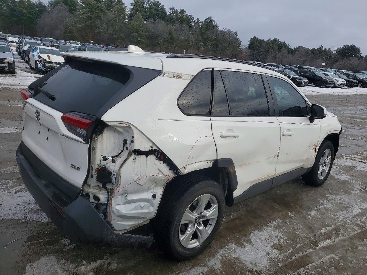 2019 TOYOTA RAV4 XLE photo 3