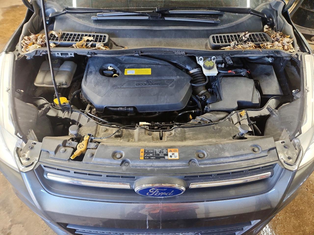 2016 FORD ESCAPE SE photo 12
