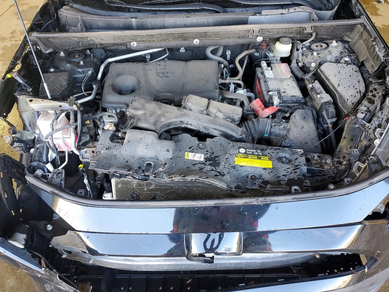 2019 TOYOTA RAV4 XLE photo 12