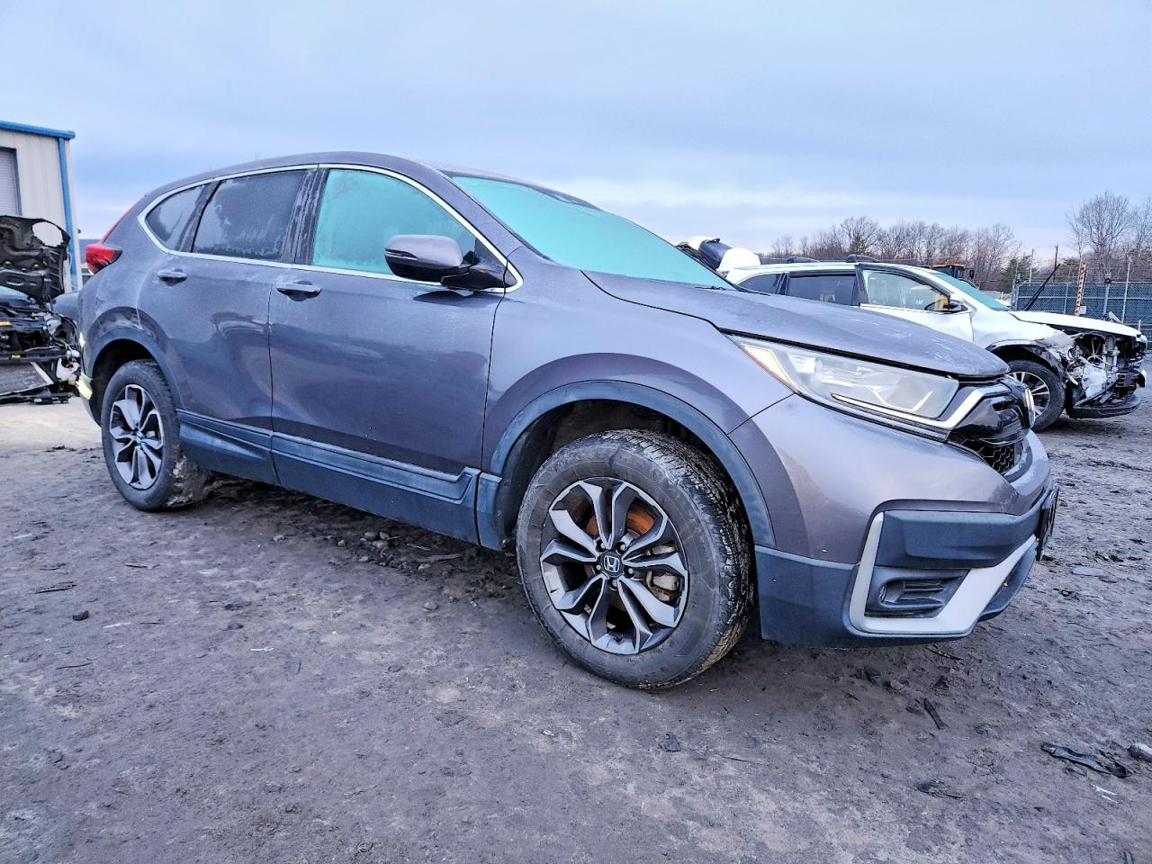 2020 HONDA CR-V EX photo 4